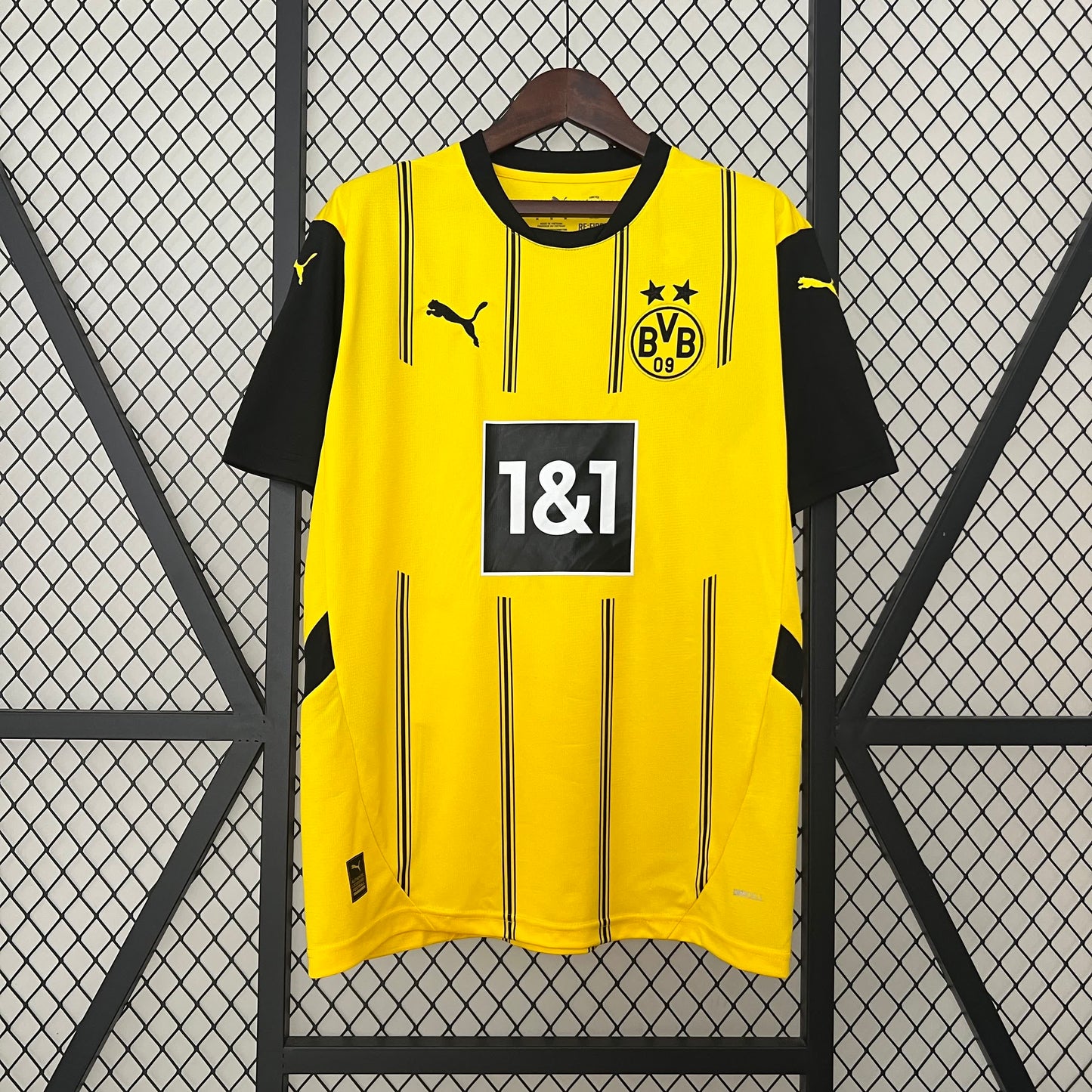 Dortmund 24/25 Jersey