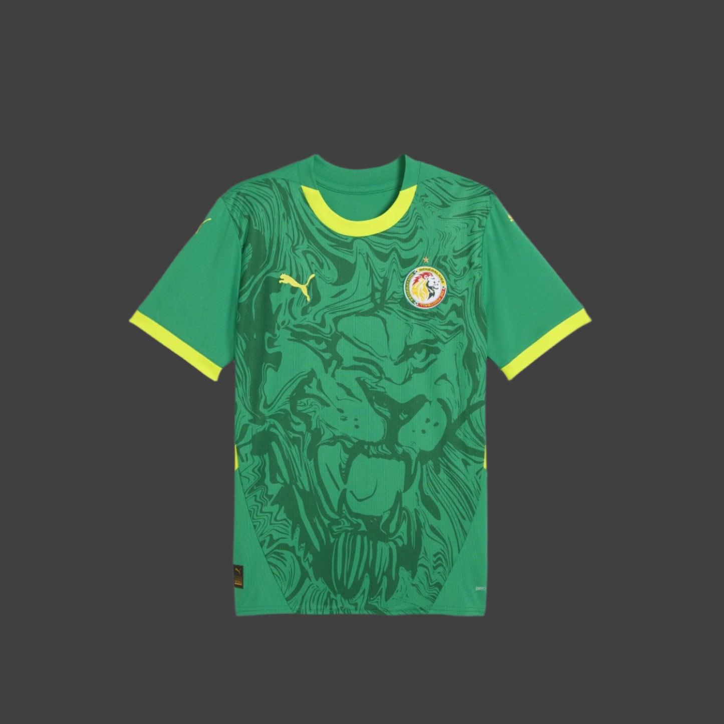 Senegal AFCON 2025 Jerseys